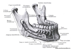 Los síntomas de esguinces de la mandíbula inferior